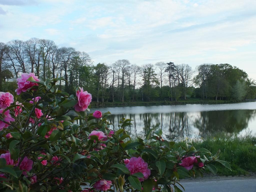Chambre D'Hotes - La Rigaudiere Le Theil-de-Bretagne Экстерьер фото